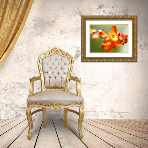 Open Sunshine IV Gold Ornate Wood Framed Art Print with Double Matting by Nourock, Jonathan