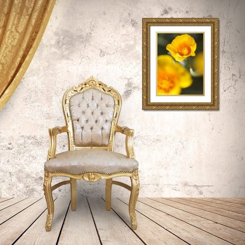 California Poppy I Gold Ornate Wood Framed Art Print with Double Matting by Nourock, Jonathan