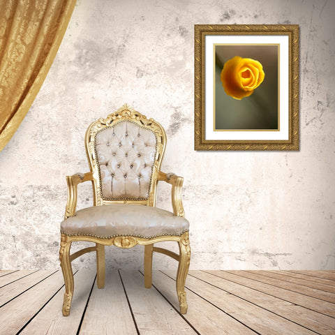 California Poppy II Gold Ornate Wood Framed Art Print with Double Matting by Nourock, Jonathan