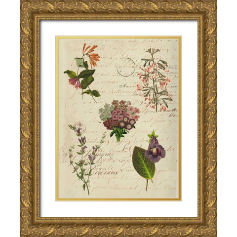 Postscript Flower Chart I Gold Ornate Wood Framed Art Print with Double Matting by Goldberger, Jennifer