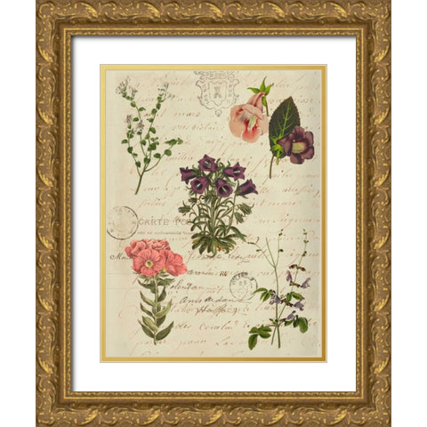 Postscript Flower Chart II Gold Ornate Wood Framed Art Print with Double Matting by Goldberger, Jennifer