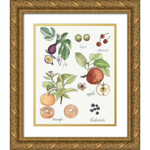 Fruit Medley I Gold Ornate Wood Framed Art Print with Double Matting by McCavitt, Naomi