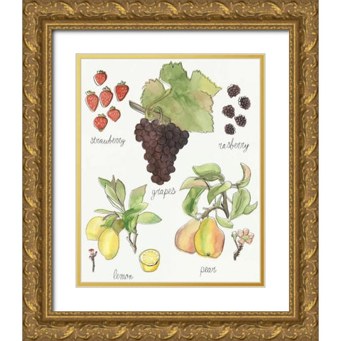 Fruit Medley II Gold Ornate Wood Framed Art Print with Double Matting by McCavitt, Naomi