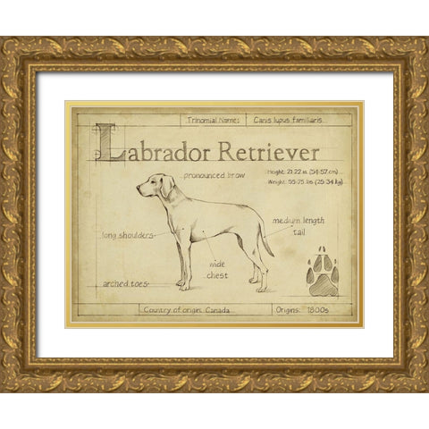 Antique Labrador Retriever (ASH) Gold Ornate Wood Framed Art Print with Double Matting by Harper, Ethan