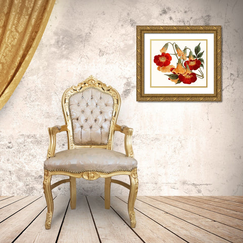 Striking Coral Botanicals IV Gold Ornate Wood Framed Art Print with Double Matting by Curtis