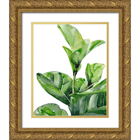 Fiddle Fig I Gold Ornate Wood Framed Art Print with Double Matting by Parker, Jennifer Paxton