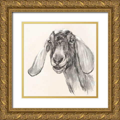 Farm Portrait I Gold Ornate Wood Framed Art Print with Double Matting by Parker, Jennifer Paxton