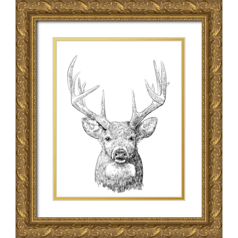 Young Buck Sketch II Gold Ornate Wood Framed Art Print with Double Matting by Scarvey, Emma