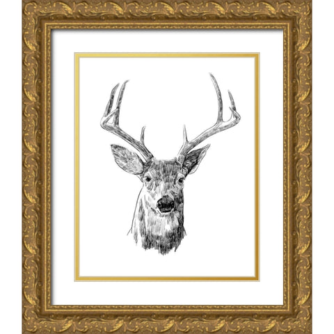 Young Buck Sketch III Gold Ornate Wood Framed Art Print with Double Matting by Scarvey, Emma