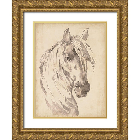 Horse Portrait Sketch I Gold Ornate Wood Framed Art Print with Double Matting by Parker, Jennifer Paxton