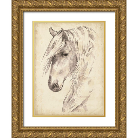 Horse Portrait Sketch II Gold Ornate Wood Framed Art Print with Double Matting by Parker, Jennifer Paxton