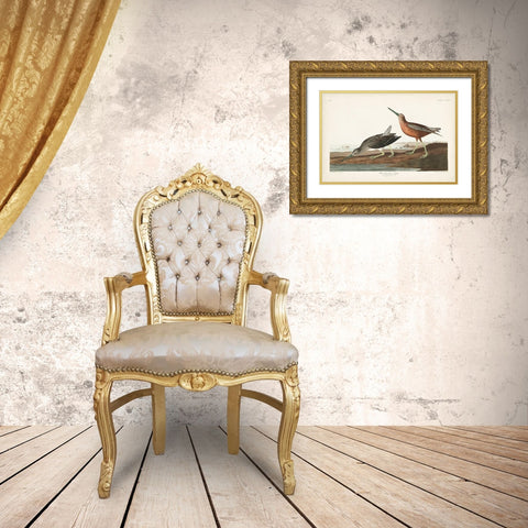 Pl. 335 Red-breasted Snipe Gold Ornate Wood Framed Art Print with Double Matting by Audubon, John James
