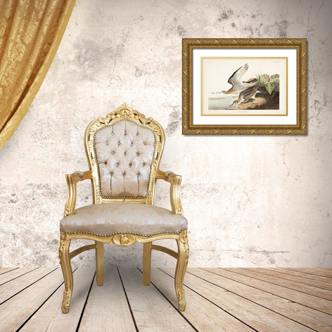 Pl. 303 Bartram Sandpiper Gold Ornate Wood Framed Art Print with Double Matting by Audubon, John James
