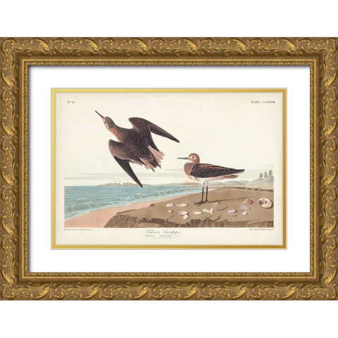 Pl. 278 Schins Sandpiper Gold Ornate Wood Framed Art Print with Double Matting by Audubon, John James