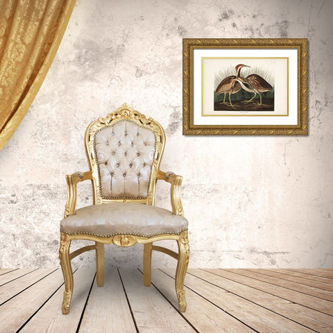 Pl. 337 American Bittern Gold Ornate Wood Framed Art Print with Double Matting by Audubon, John James