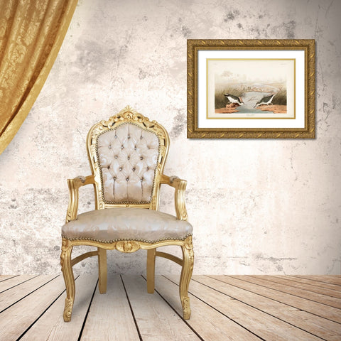 Pl. 310 Spotted Sandpiper Gold Ornate Wood Framed Art Print with Double Matting by Audubon, John James