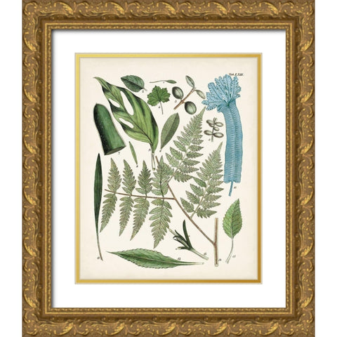 Fanciful Ferns IV Gold Ornate Wood Framed Art Print with Double Matting by Unknown