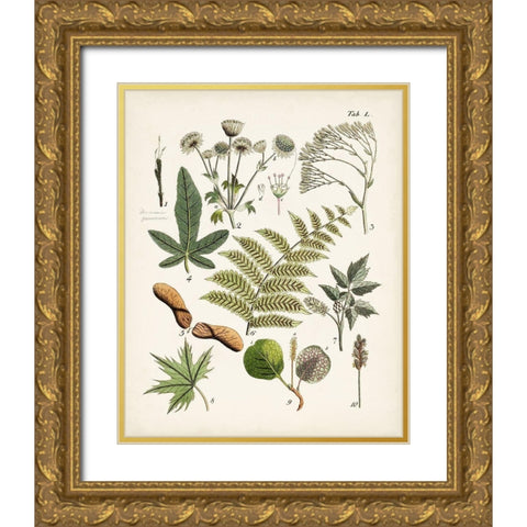 Fanciful Ferns VI Gold Ornate Wood Framed Art Print with Double Matting by Unknown
