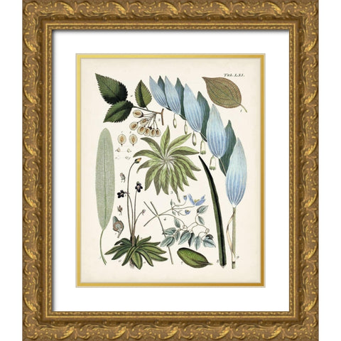 Fanciful Ferns IX Gold Ornate Wood Framed Art Print with Double Matting by Unknown