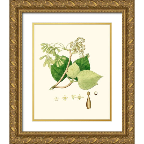 Spring Green Foliage IV Gold Ornate Wood Framed Art Print with Double Matting by Unknown