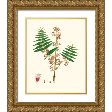 Spring Green Foliage VI Gold Ornate Wood Framed Art Print with Double Matting by Unknown