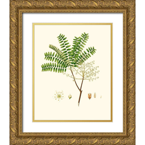 Spring Green Foliage VIII Gold Ornate Wood Framed Art Print with Double Matting by Unknown