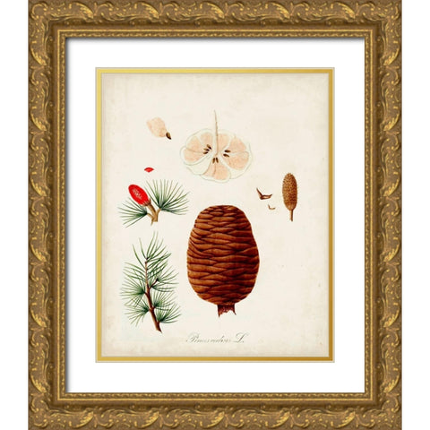 Antique Tree Study VII Gold Ornate Wood Framed Art Print with Double Matting by Unknown