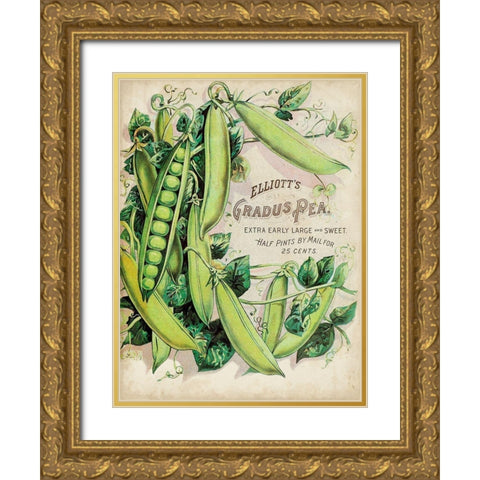 Antique Seed Packets V Gold Ornate Wood Framed Art Print with Double Matting by Unknown