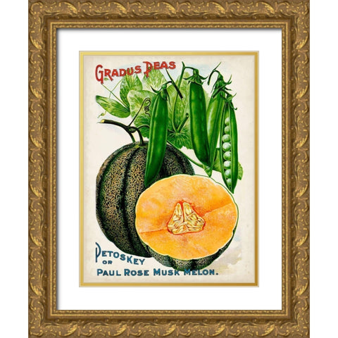 Antique Seed Packets X Gold Ornate Wood Framed Art Print with Double Matting by Unknown