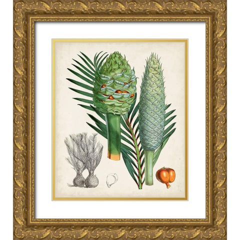 Sago Palms I Gold Ornate Wood Framed Art Print with Double Matting by Curtis