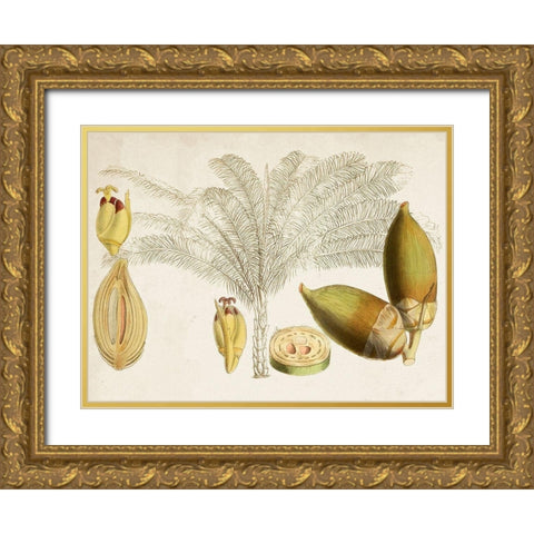 Tropical Foliage and Fruit VIII Gold Ornate Wood Framed Art Print with Double Matting by Curtis