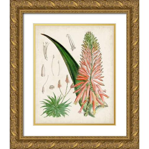 Delicate Tropicals I Gold Ornate Wood Framed Art Print with Double Matting by Curtis