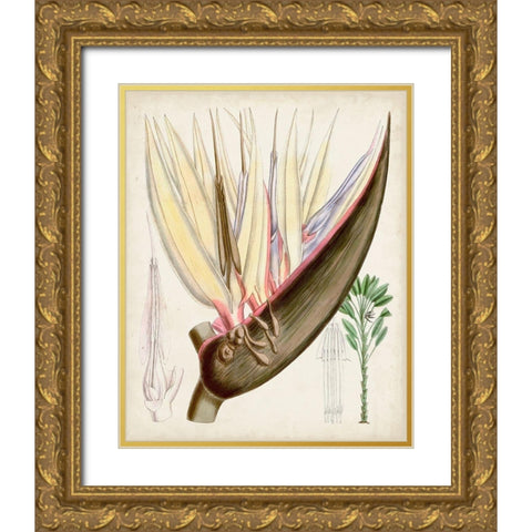 Delicate Tropicals II Gold Ornate Wood Framed Art Print with Double Matting by Curtis