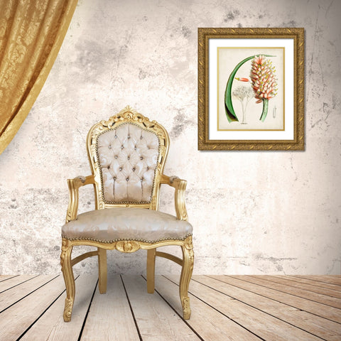 Delicate Tropicals III Gold Ornate Wood Framed Art Print with Double Matting by Curtis