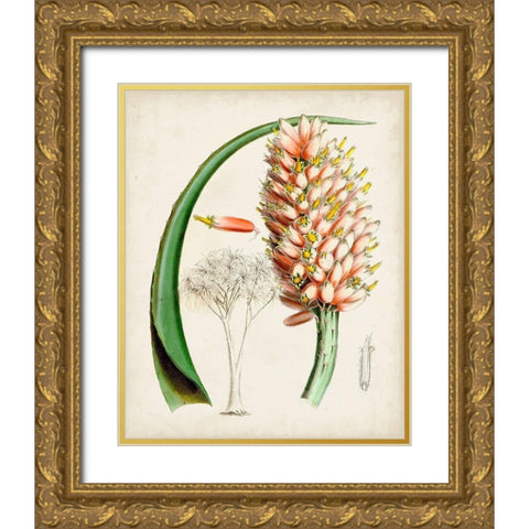 Delicate Tropicals III Gold Ornate Wood Framed Art Print with Double Matting by Curtis