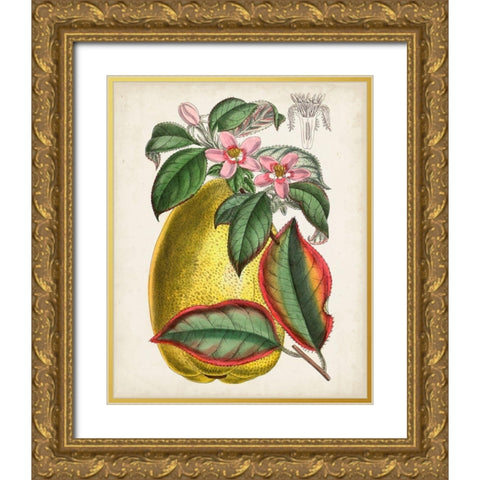 Delicate Tropicals V Gold Ornate Wood Framed Art Print with Double Matting by Curtis