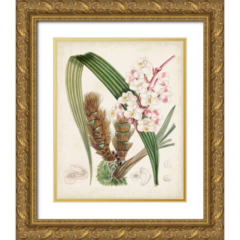 Delicate Tropicals VIII Gold Ornate Wood Framed Art Print with Double Matting by Curtis