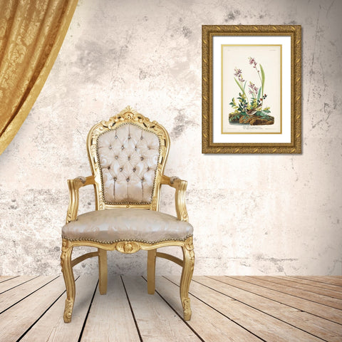Pl. 139 Field Sparrow Gold Ornate Wood Framed Art Print with Double Matting by Audubon, John James