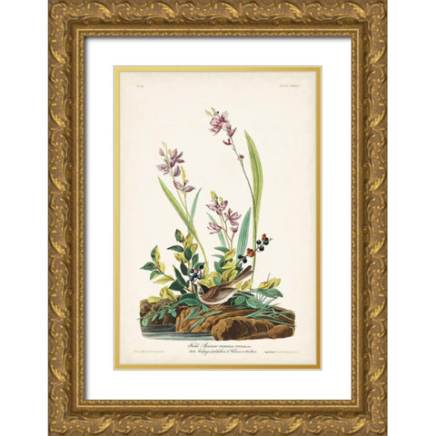 Pl. 139 Field Sparrow Gold Ornate Wood Framed Art Print with Double Matting by Audubon, John James