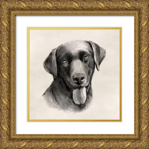Charcoal Labrador I Gold Ornate Wood Framed Art Print with Double Matting by Popp, Grace