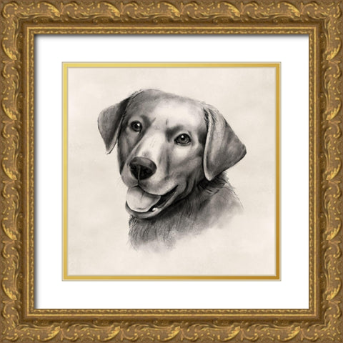Charcoal Labrador II Gold Ornate Wood Framed Art Print with Double Matting by Popp, Grace