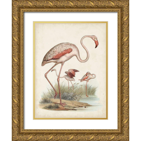 Antique Waterbirds IV Gold Ornate Wood Framed Art Print with Double Matting by Unknown