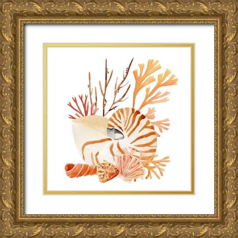 Nautilus Grouping I Gold Ornate Wood Framed Art Print with Double Matting by Warren, Annie