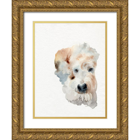Scruffy Puppy I Gold Ornate Wood Framed Art Print with Double Matting by Parker, Jennifer Paxton