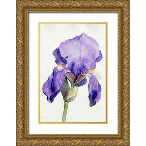 Iris in Bloom I Gold Ornate Wood Framed Art Print with Double Matting by Parker, Jennifer Paxton
