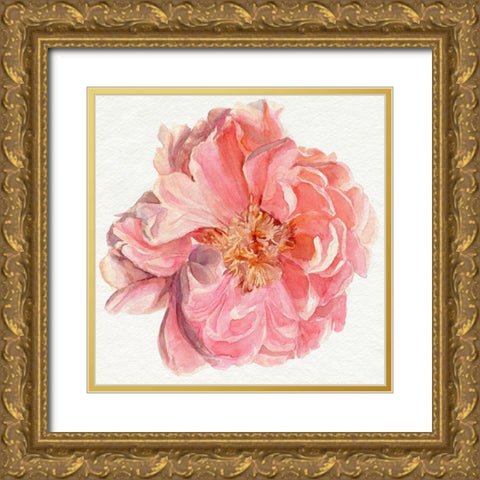 Blossomed Peony I Gold Ornate Wood Framed Art Print with Double Matting by Parker, Jennifer Paxton
