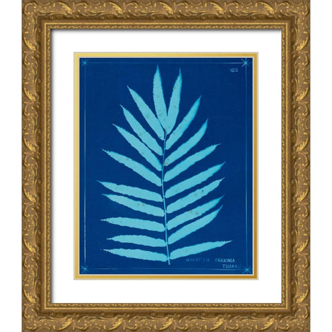 Cyanotype Ferns III Gold Ornate Wood Framed Art Print with Double Matting by Unknown