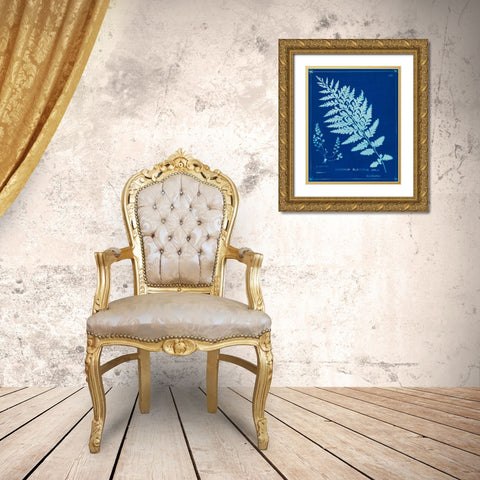 Cyanotype Ferns IV Gold Ornate Wood Framed Art Print with Double Matting by Unknown
