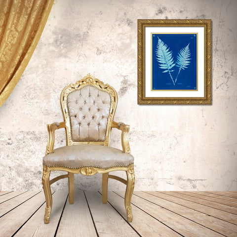 Cyanotype Ferns VI Gold Ornate Wood Framed Art Print with Double Matting by Unknown