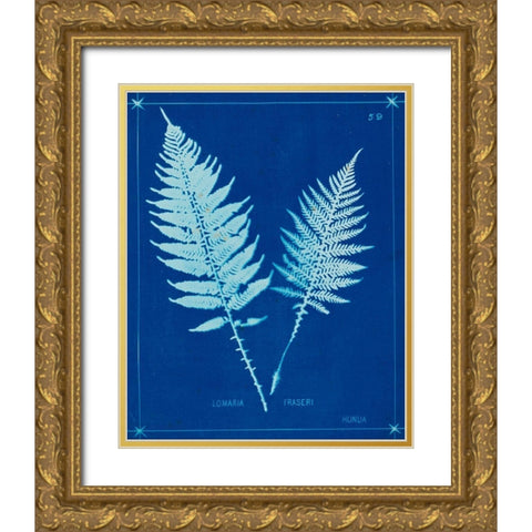 Cyanotype Ferns VI Gold Ornate Wood Framed Art Print with Double Matting by Unknown